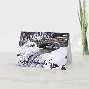 Cartes Pour Fêtes Annuelles Pont neigeux