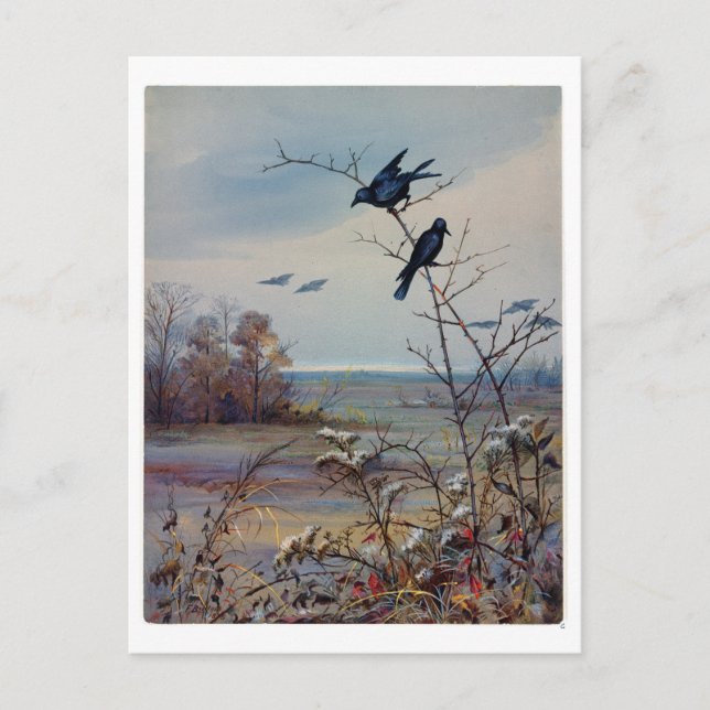 Cartes Pour Fêtes Annuelles Ponts Fidelia (Devant)