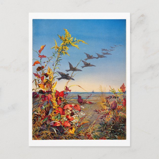 Cartes Pour Fêtes Annuelles Ponts Fidelia (Devant)