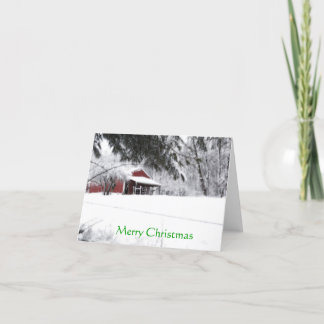 Cartes Pour Fêtes Annuelles Pony Christmas