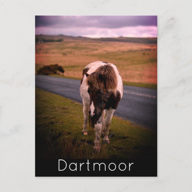 Cartes Pour Fêtes Annuelles Pony sur la route dans le parc national Dartmoor (Devant)