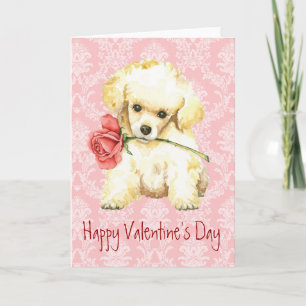 Cartes Pour Fêtes Annuelles Poodle de jouets Rose Valentine