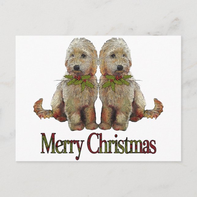 Cartes Pour Fêtes Annuelles Poodle, Golden Doodle Couple Noël : Art (Devant)