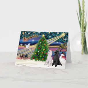 Cartes Pour Fêtes Annuelles Poodle Magie de Noël (deux Standard)