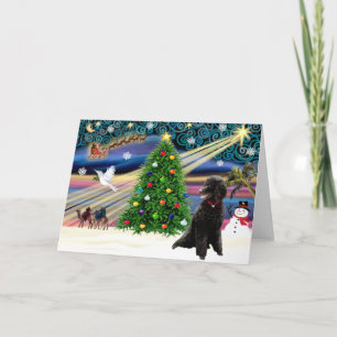 Cartes Pour Fêtes Annuelles Poodle magique de Noël (standard noir)
