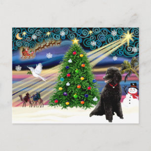 Cartes Pour Fêtes Annuelles Poodle magique de Noël (standard noir)