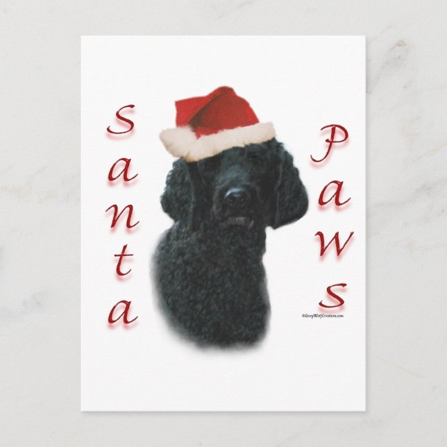 Cartes Pour Fêtes Annuelles Poodle Père Noël Paws (Devant)
