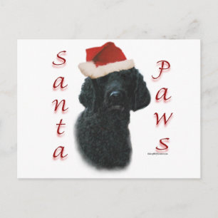 Cartes Pour Fêtes Annuelles Poodle Père Noël Paws