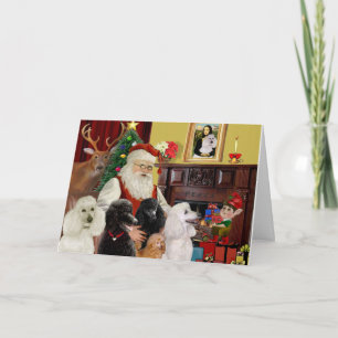 Cartes Pour Fêtes Annuelles Poodles de Père Noël (St+T)