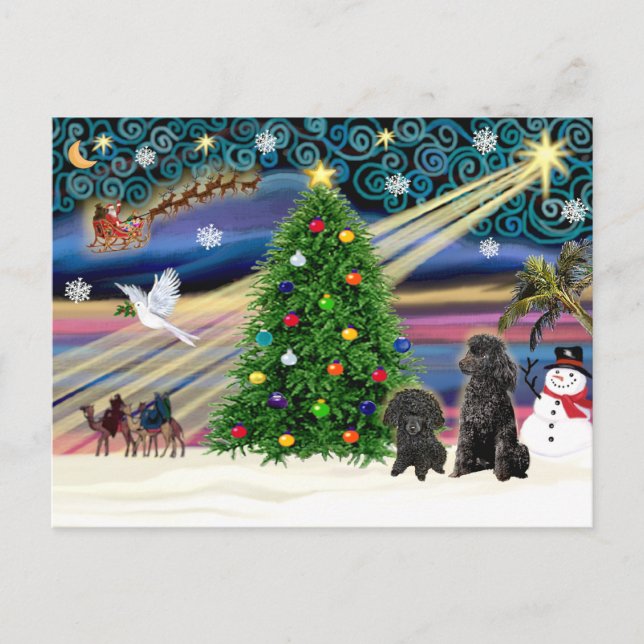 Cartes Pour Fêtes Annuelles Poodles magiques de Noël (deux jouets noirs) (Devant)