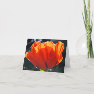 Cartes Pour Fêtes Annuelles Poppy du ciel