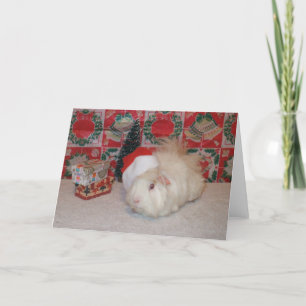 Cartes Pour Fêtes Annuelles Porc blanc de Père Noël