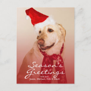Cartes Pour Fêtes Annuelles Portrait de labrador retriever utilisant le