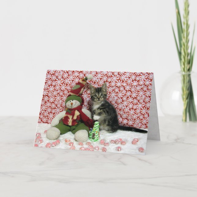Cartes Pour Fêtes Annuelles Portrait de Noël de Bandit - Chat / Kitten (Devant)