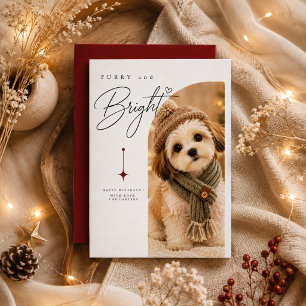 Cartes Pour Fêtes Annuelles Portrait de Noël de chiot en tricot cosy Furry & B