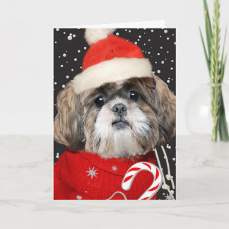 Cartes Pour Fêtes Annuelles Portrait de Shih Tzu Père Noël