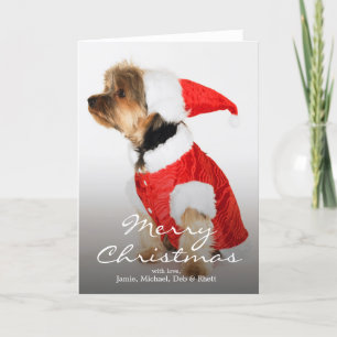 Cartes Pour Fêtes Annuelles Portrait de Yorkshire Terrier utilisant le