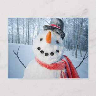 Cartes Pour Fêtes Annuelles Portrait d'un bonhomme de neige heureux