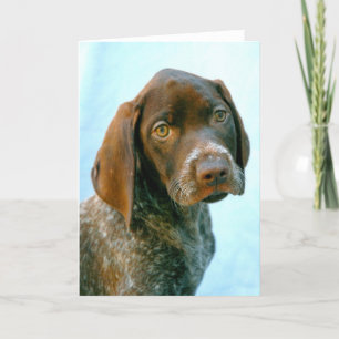 Cartes Pour Fêtes Annuelles Portrait d'un chien