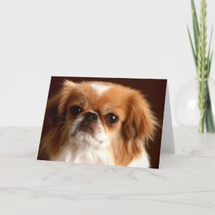 Cartes Pour Fêtes Annuelles Portrait d'un Espagnol