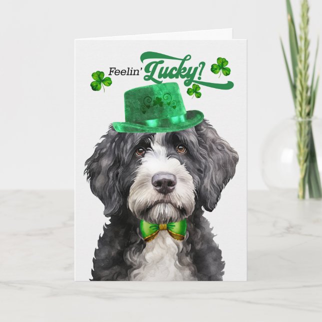 Cartes Pour Fêtes Annuelles Portugais Water Dog Lucky St Patrick's Day (Devant)