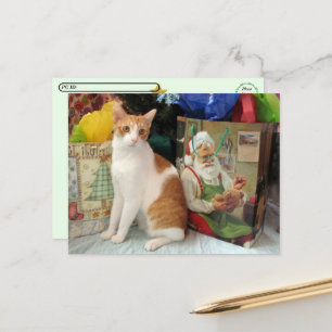 Cartes Pour Fêtes Annuelles Postcrossing - Kagan le Chat - Noël