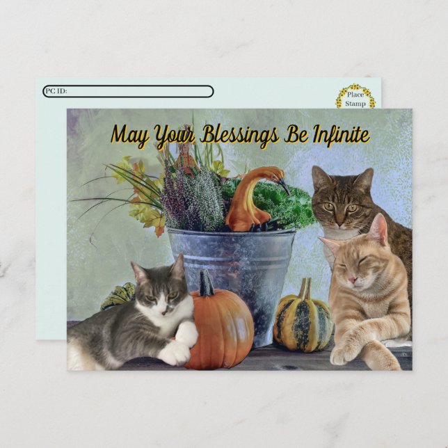 Cartes Pour Fêtes Annuelles Postcrossing Tito Taz & Annie's 2025 Thanksgiving  (Devant / Derrière)