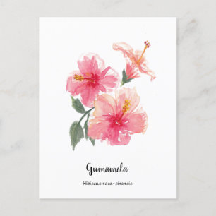 Cartes Pour Fêtes Annuelles Poster philippin Gumamela Hibiscus Aquarelle
