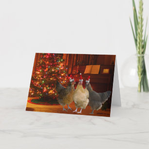 Cartes Pour Fêtes Annuelles Poulets de Noël