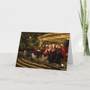 Cartes Pour Fêtes Annuelles Poulets de Noël 2