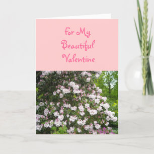 Cartes Pour Fêtes Annuelles Pour Ma Belle Saint-Valentin