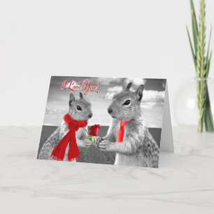 Cartes Pour Fêtes Annuelles Pour Mari le jour de la Saint Valentin Écureuil dr