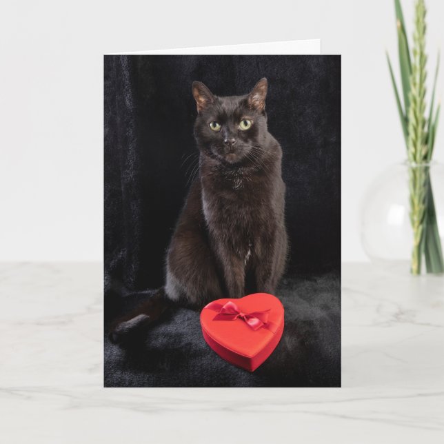 Cartes Pour Fêtes Annuelles Pour quiconque heureux la Saint-Valentin Mignon ch (Devant)