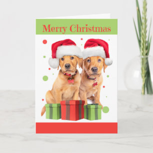 Cartes Pour Fêtes Annuelles Pour quiconque Joyeux Noël Deux chiots Lab