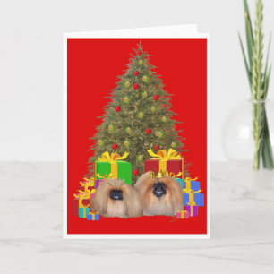 Cartes Pour Fêtes Annuelles Pourcentage pékingais fêtent Noël