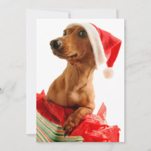 Cartes Pour Fêtes Annuelles Poursuivez sur le présent avec le casquette de