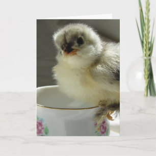 Cartes Pour Fêtes Annuelles Poussin Cochin bleu sur Tasse à thé, Pâques