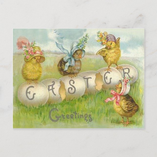 Cartes Pour Fêtes Annuelles Poussin de Champ de Pâques (Devant)