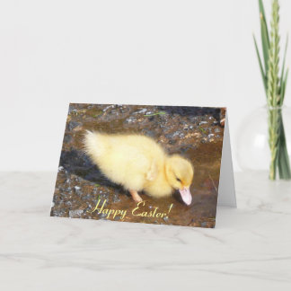 Cartes Pour Fêtes Annuelles Poussin de Pâques, Joyeuses Pâques !