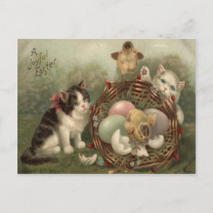 Cartes Pour Fêtes Annuelles Poussin de Pâques Œuf Coloré Peint Chat