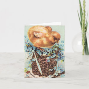 Cartes Pour Fêtes Annuelles Poussin de Pâques vintage sur des myosotis
