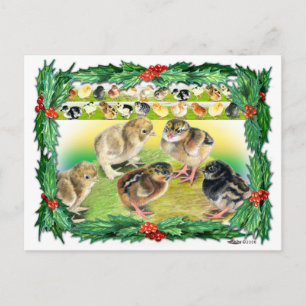 Cartes Pour Fêtes Annuelles Poussins de Noël