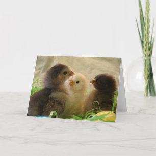 Cartes Pour Fêtes Annuelles Poussins de Pâques