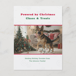 Cartes Pour Fêtes Annuelles Powered by Christmas Chaos Funny Dog Pet Photo