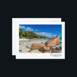 Cartes Pour Fêtes Annuelles Praslin Seychelles Island Anse Lazio Beach Cadeau<br><div class="desc">Praslin Seychelles Anse Lazio conception de l'île de plage pour des vacances. Praslin island Seychelles Indian Ocean Island souvenir Vintage pour le voyage sur La Digue et Anse Lazio. OEuvre d'art de la plage de Praslin avec noix de coco pour Mahé, vacanciers et routards. Plage Praslin Anse Lazio aux Seychelles...</div>