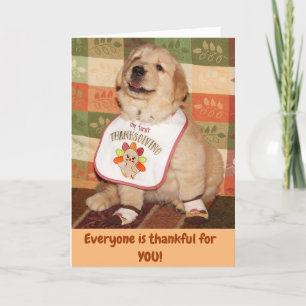 Cartes Pour Fêtes Annuelles Premier Thanksgiving de Golden Retriever Baby