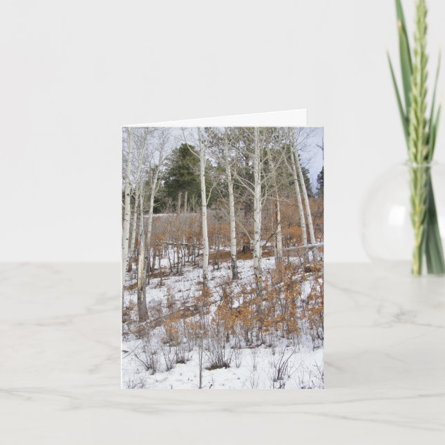 Cartes Pour Fêtes Annuelles Première neige (Devant)