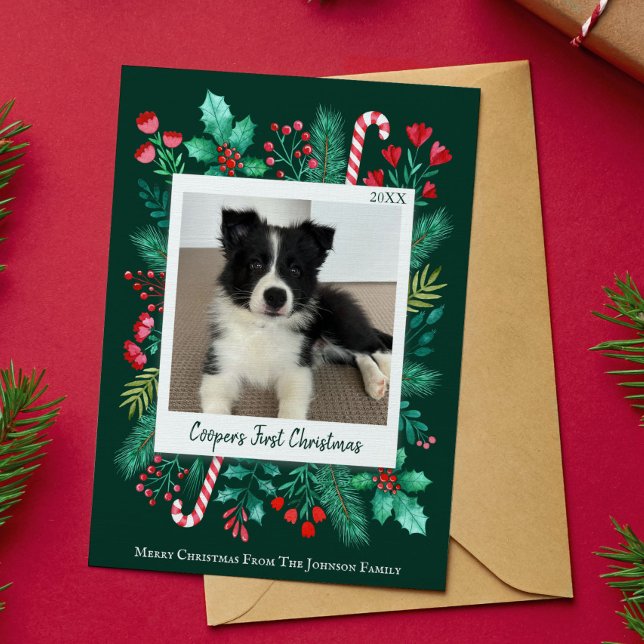 Cartes Pour Fêtes Annuelles Première photo de Noël du chiot vert foncé (Puppy's First Christmas Photo Holiday Card)