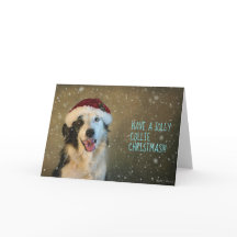 Prenez un collie de Noël