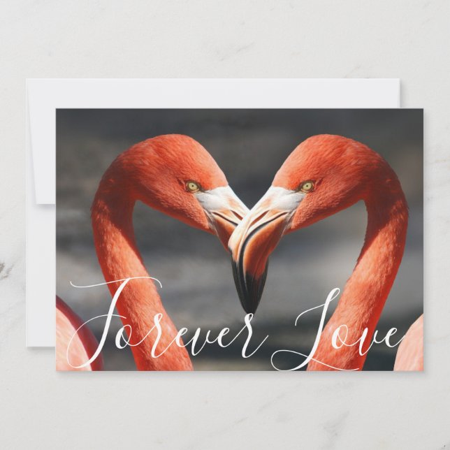 Cartes Pour Fêtes Annuelles Pretty Love Flamants roses Orange Reddish Valentin (Devant)